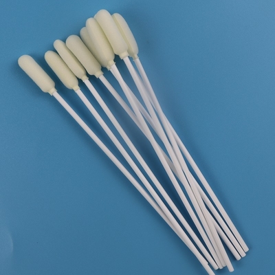 6mm Big Round Head Medical Sterile Oral Sampling Swab Disposable