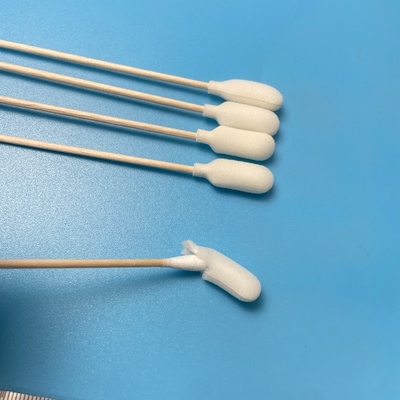 White Round Foam Covered Head Specimen Collection Swabs Cotton Buds Wood Handle
