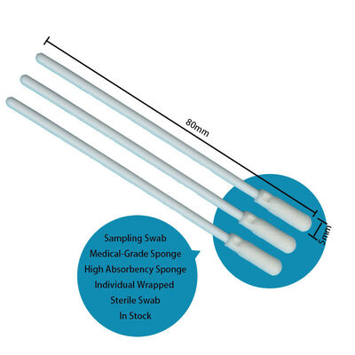 8cm Disposable White PP Stick Sterile Foam Tip Swab Surface Sampling Swab Oral Swab Specimen Collection Swab with Individual Packing