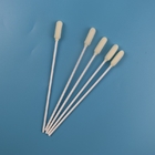 6mm Big Round Head Medical Sterile Oral Sampling Swab Disposable