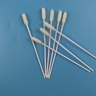 6mm Big Round Head Medical Sterile Oral Sampling Swab Disposable