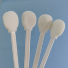 Round Sponge Head White Pp Stick Foam Tip Swabs Lollipop Shape